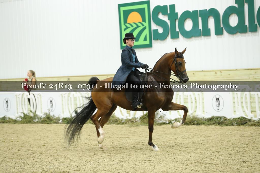Proof 24R13_07311