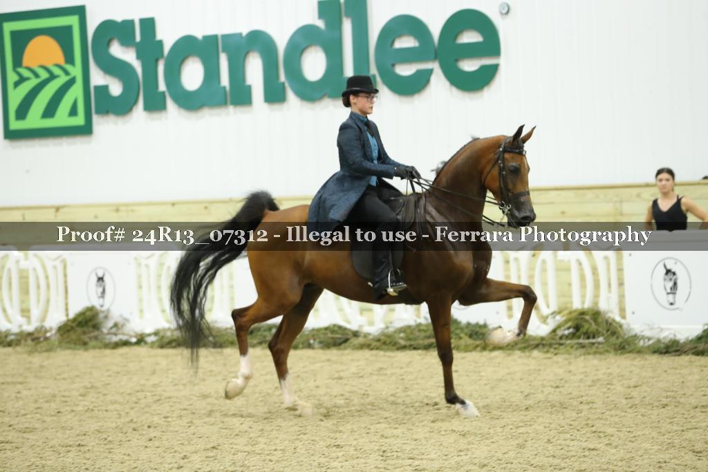 Proof 24R13_07312