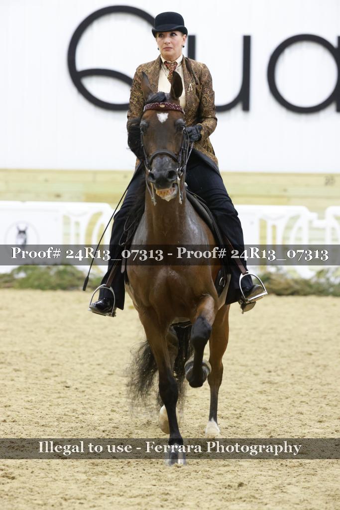 Proof 24R13_07313