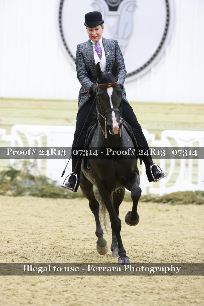 Proof 24R13_07314