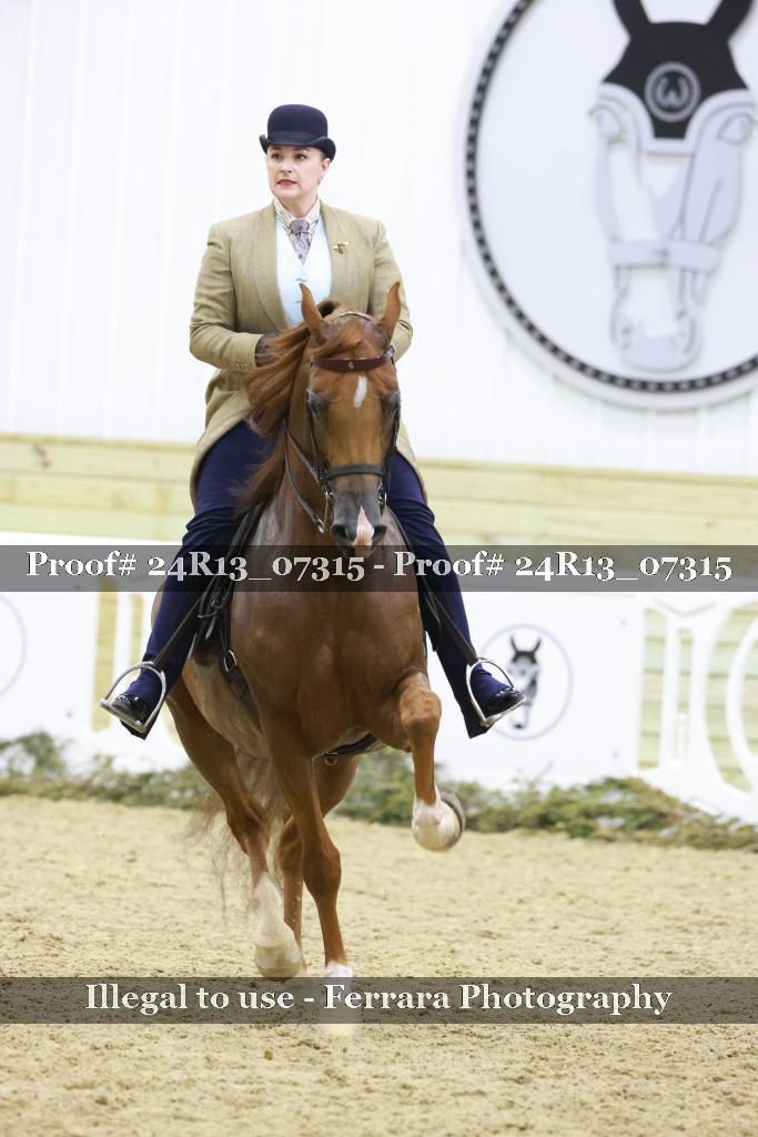 Proof 24R13_07315