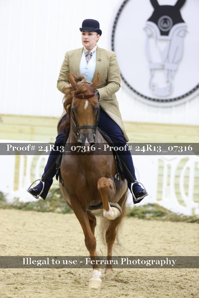 Proof 24R13_07316