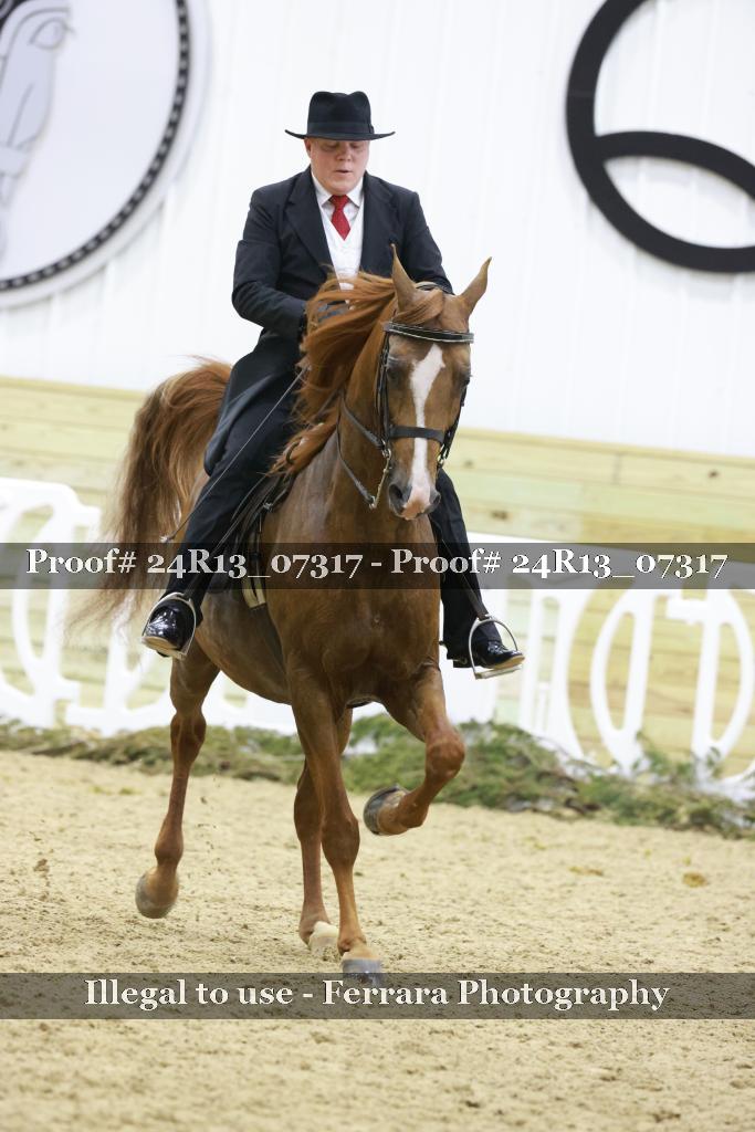 Proof 24R13_07317