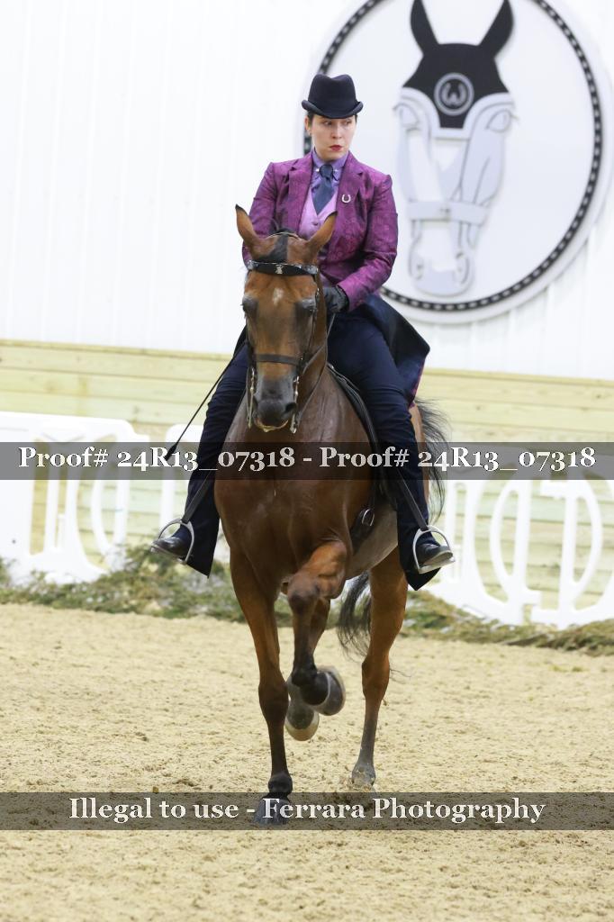 Proof 24R13_07318