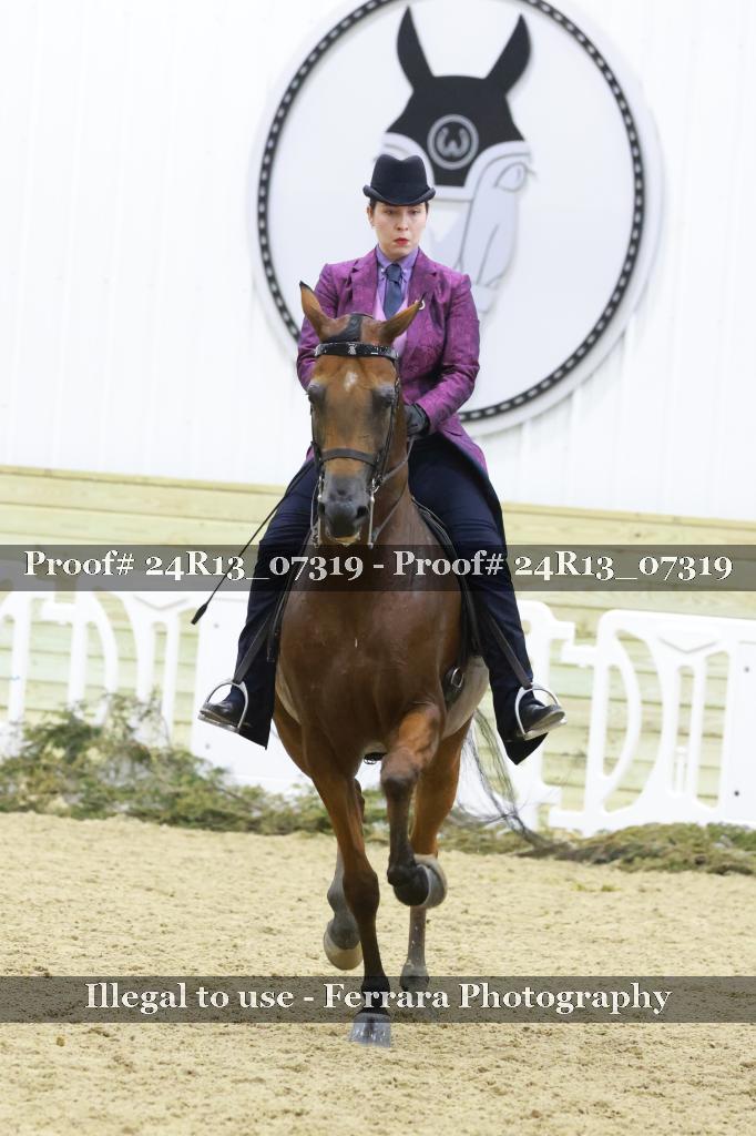 Proof 24R13_07319