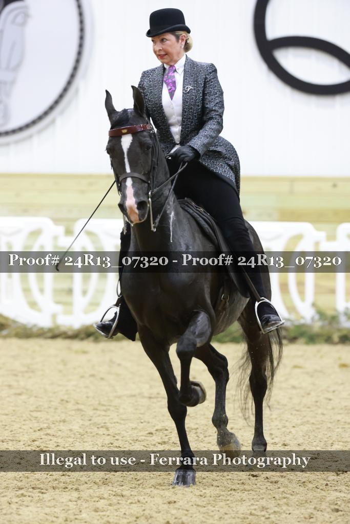 Proof 24R13_07320