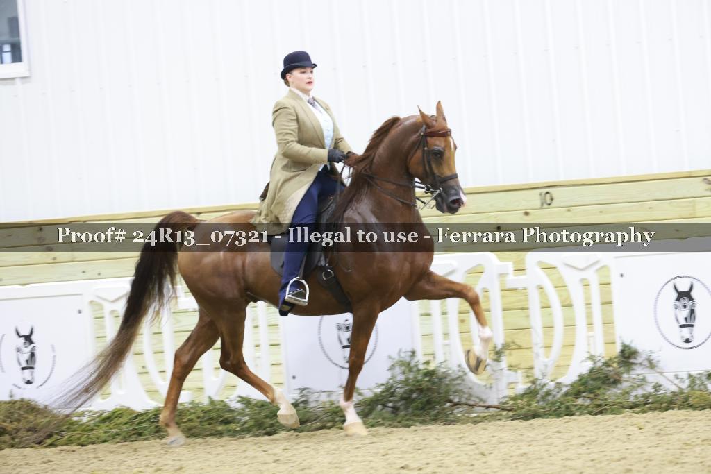 Proof 24R13_07321