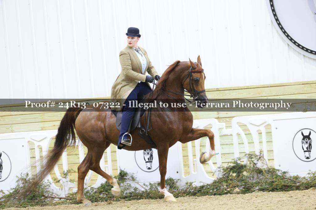 Proof 24R13_07322