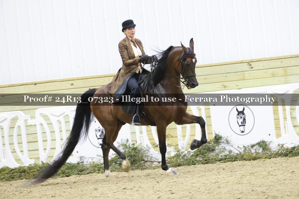 Proof 24R13_07323