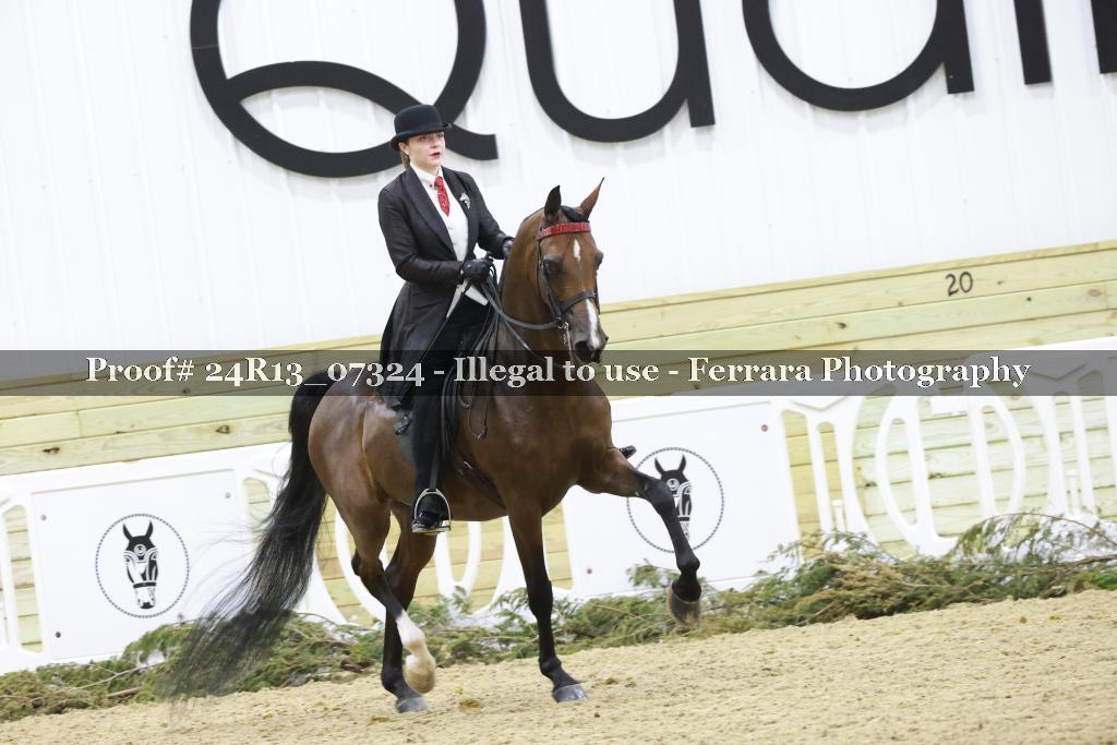 Proof 24R13_07324