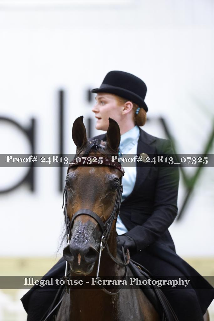 Proof 24R13_07325