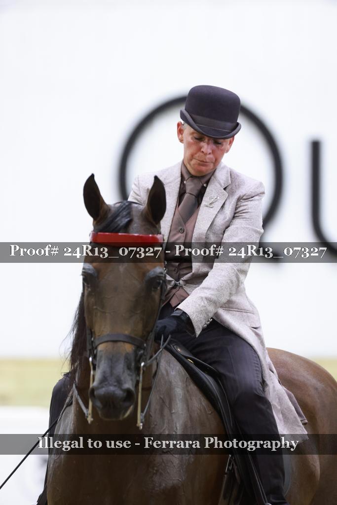 Proof 24R13_07327