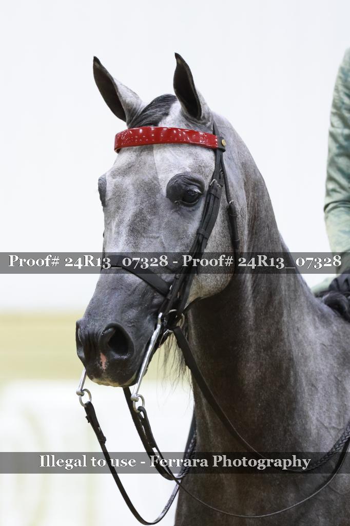 Proof 24R13_07328
