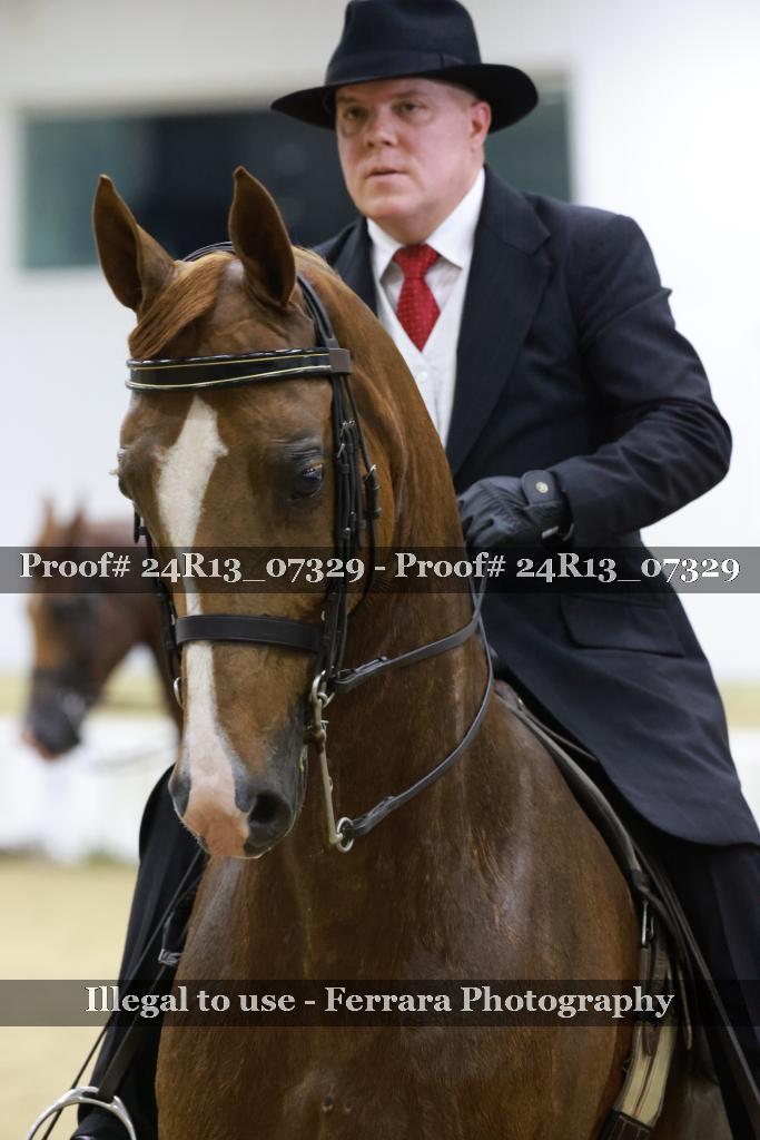 Proof 24R13_07329