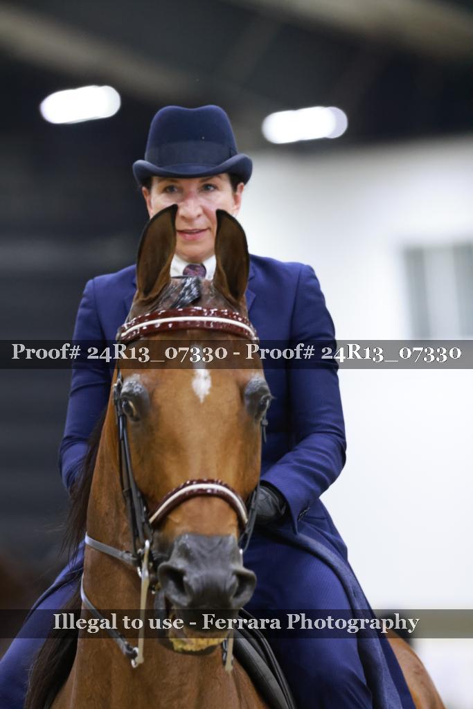 Proof 24R13_07330