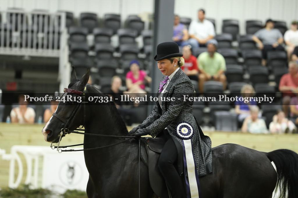 Proof 24R13_07331
