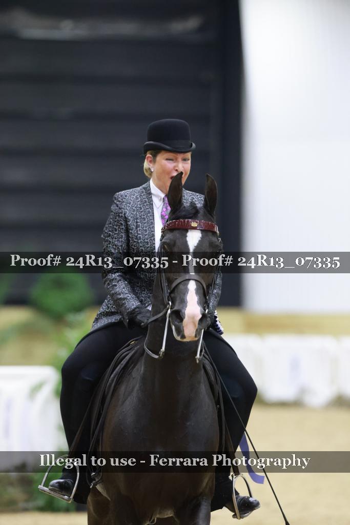 Proof 24R13_07335