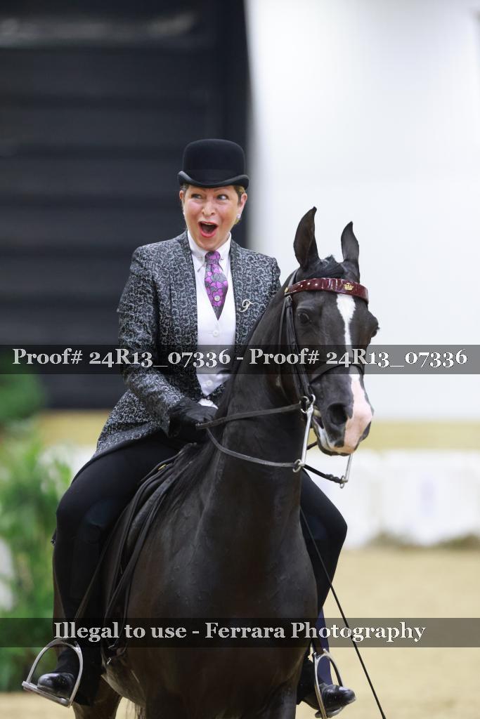 Proof 24R13_07336