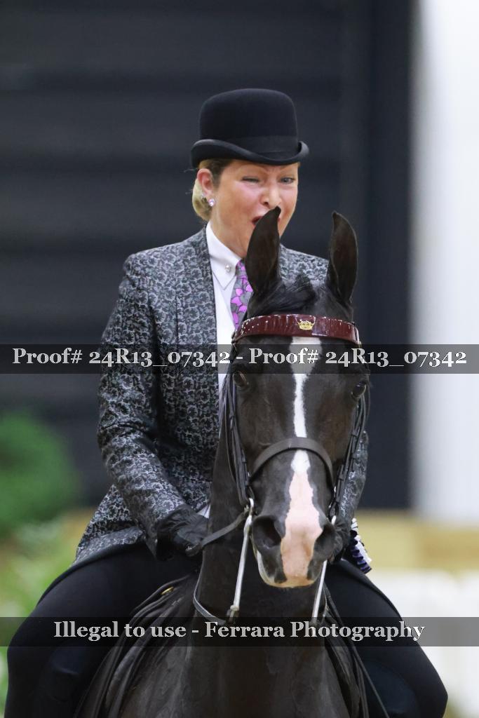 Proof 24R13_07342