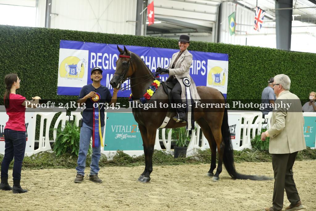 Proof 24R13_07345