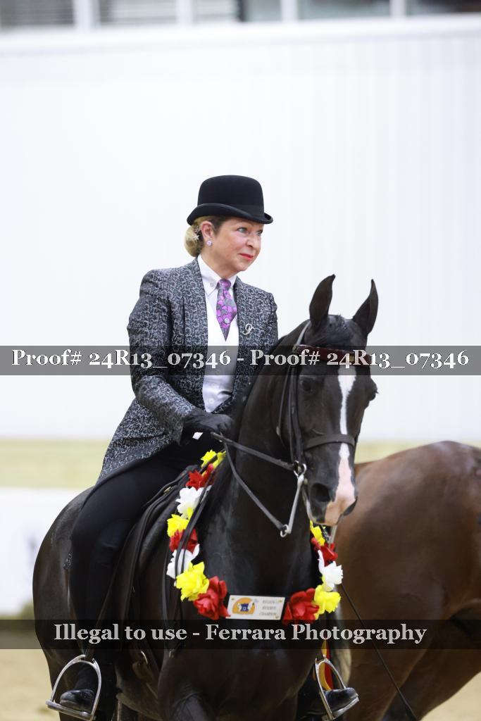 Proof 24R13_07346