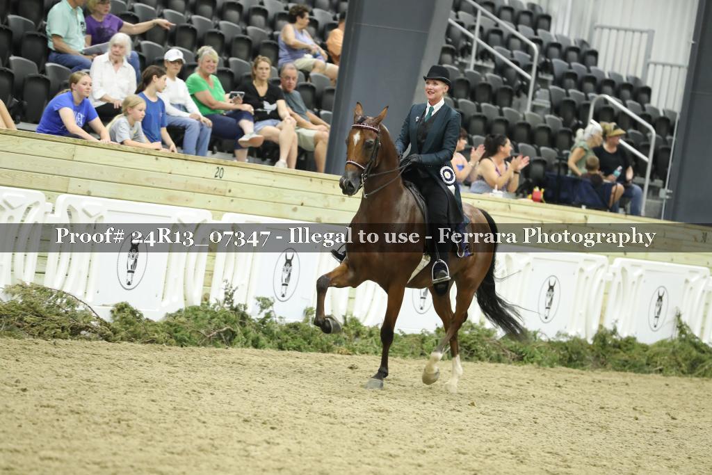 Proof 24R13_07347