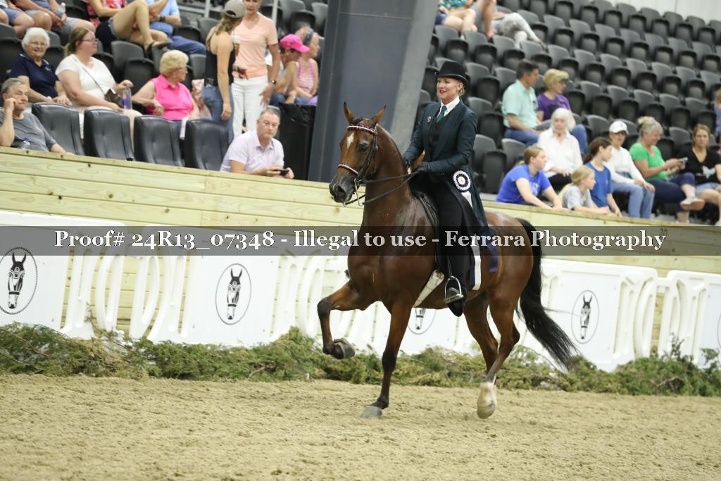 Proof 24R13_07348