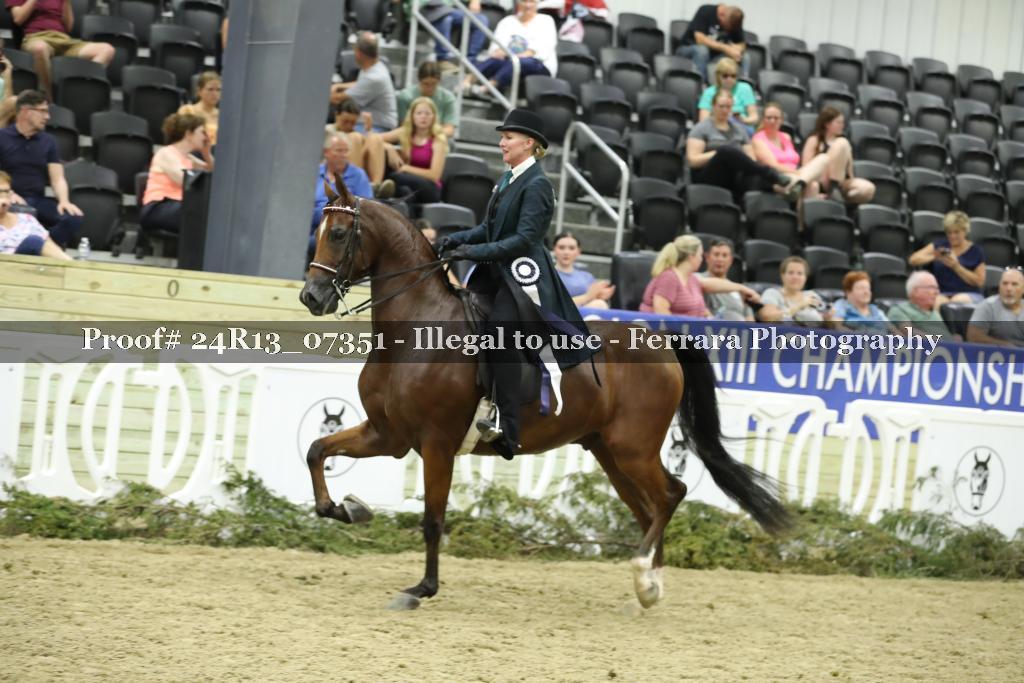 Proof 24R13_07351