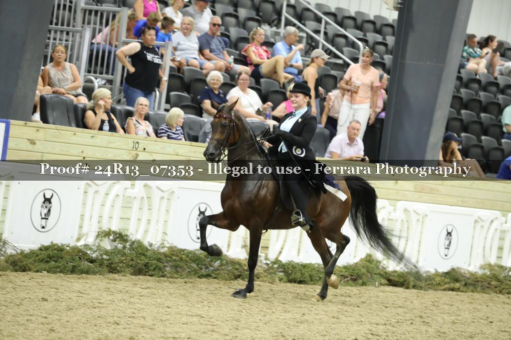 Proof 24R13_07353