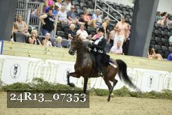 24R13_07353 proof