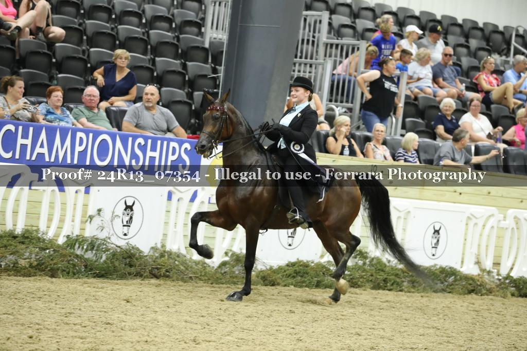 Proof 24R13_07354