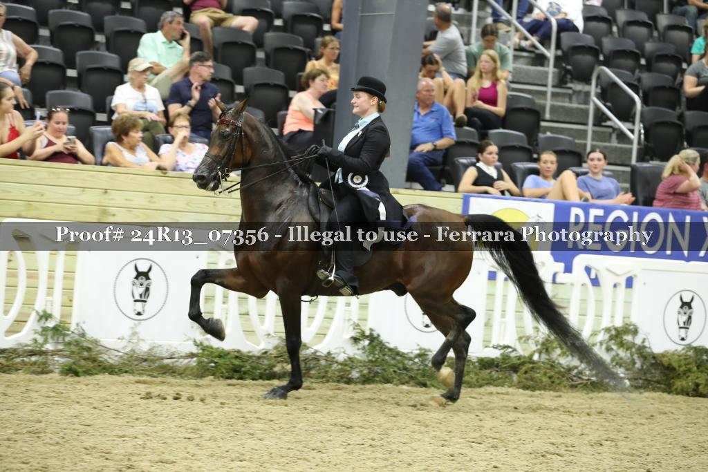 Proof 24R13_07356