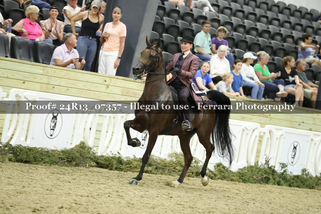Proof 24R13_07357