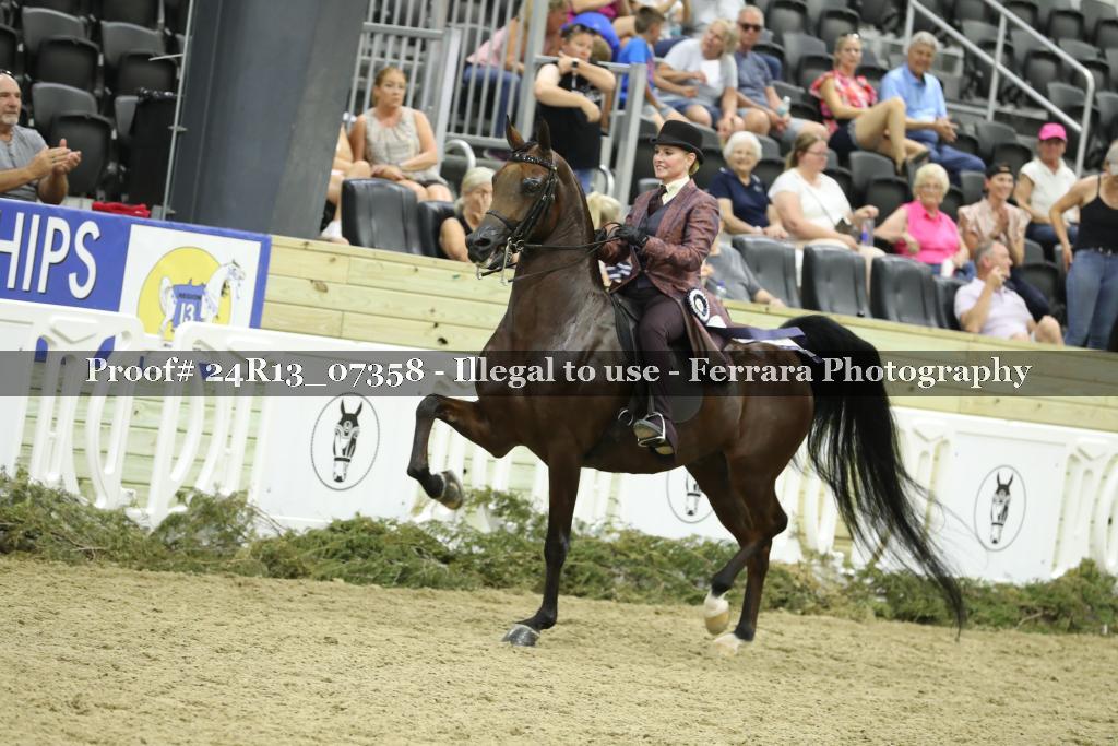 Proof 24R13_07358