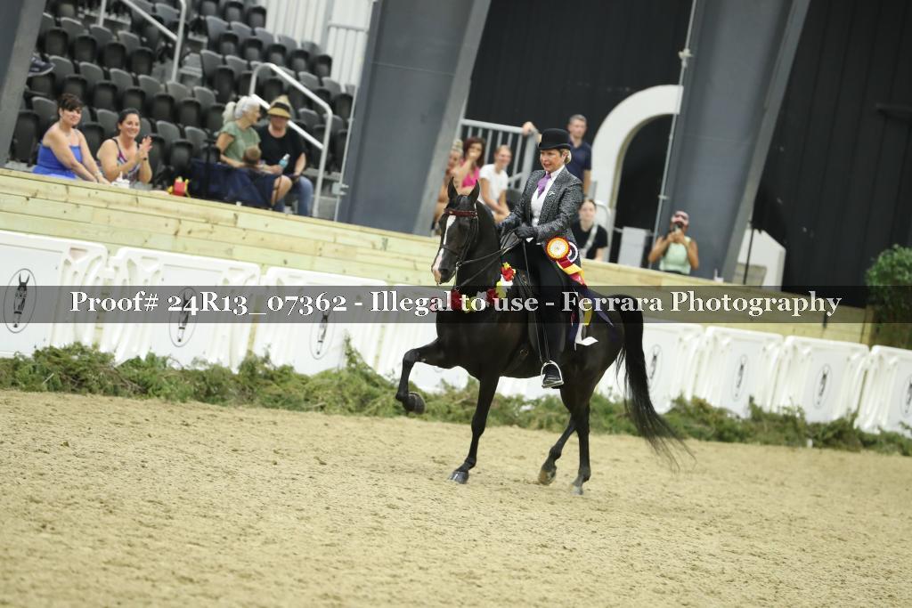 Proof 24R13_07362