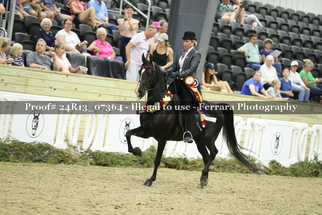 Proof 24R13_07364