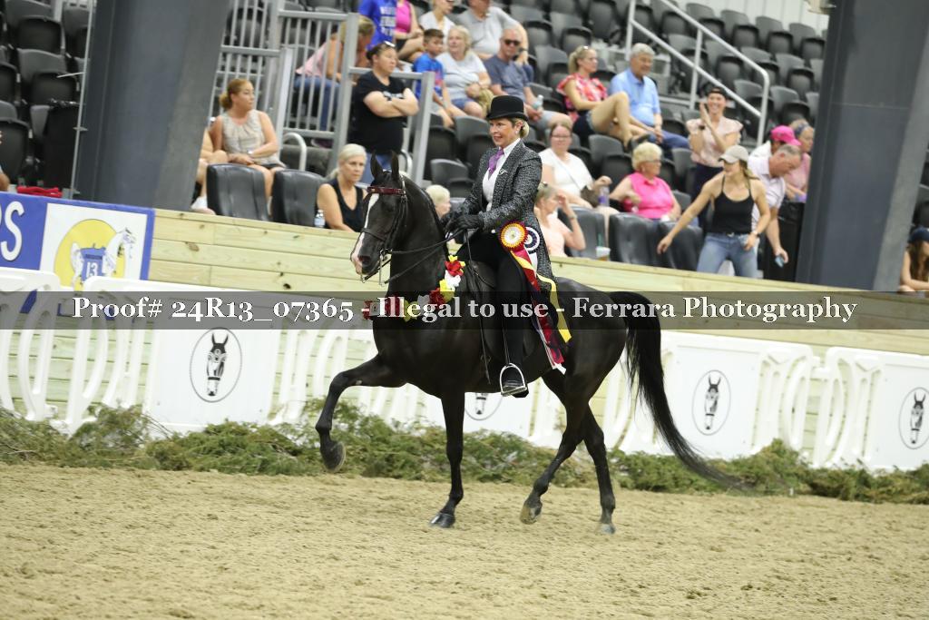 Proof 24R13_07365