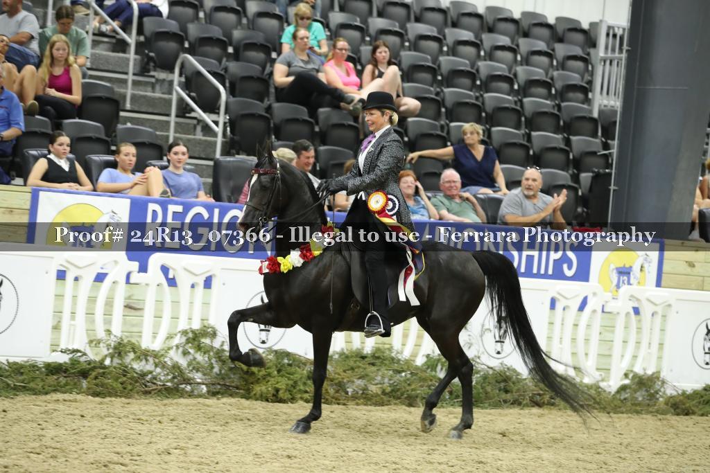 Proof 24R13_07366