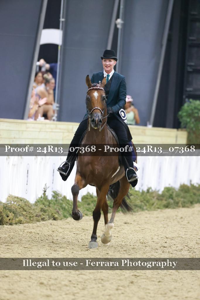 Proof 24R13_07368