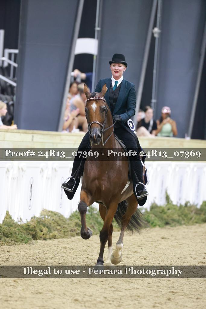 Proof 24R13_07369