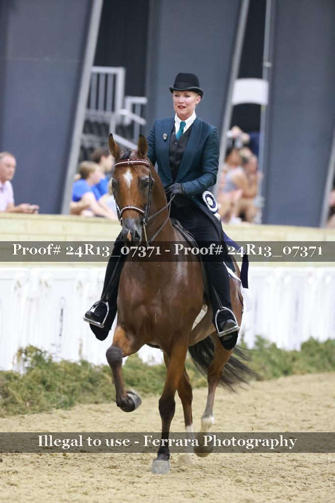Proof 24R13_07371