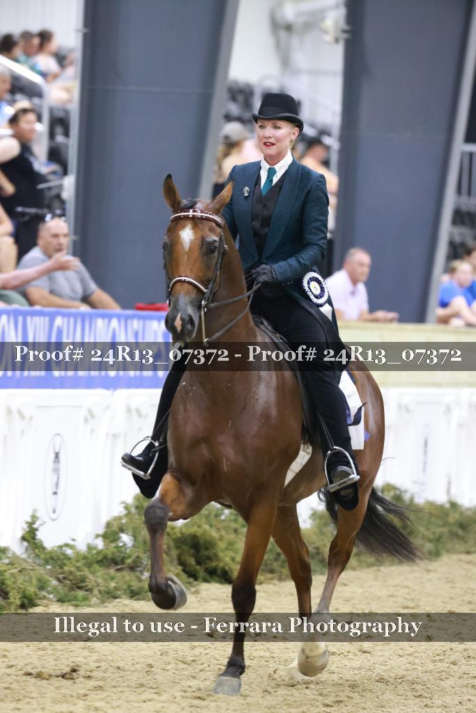 Proof 24R13_07372