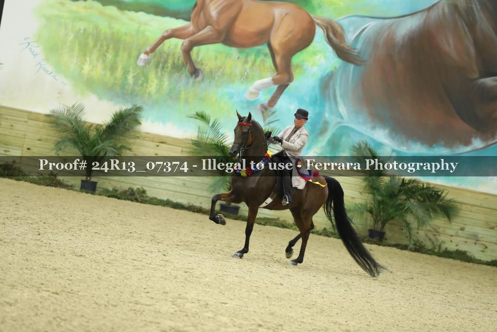 Proof 24R13_07374