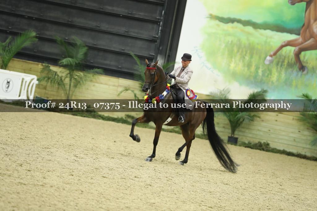 Proof 24R13_07375