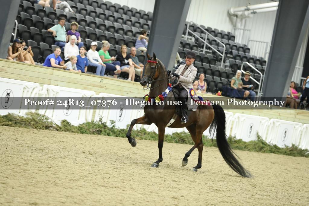 Proof 24R13_07376