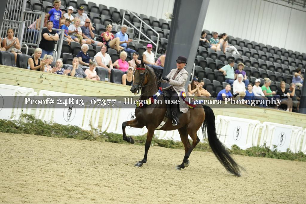 Proof 24R13_07377