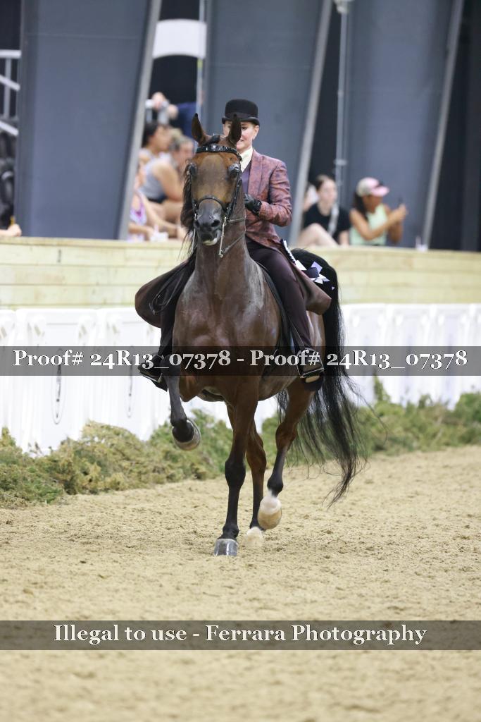 Proof 24R13_07378