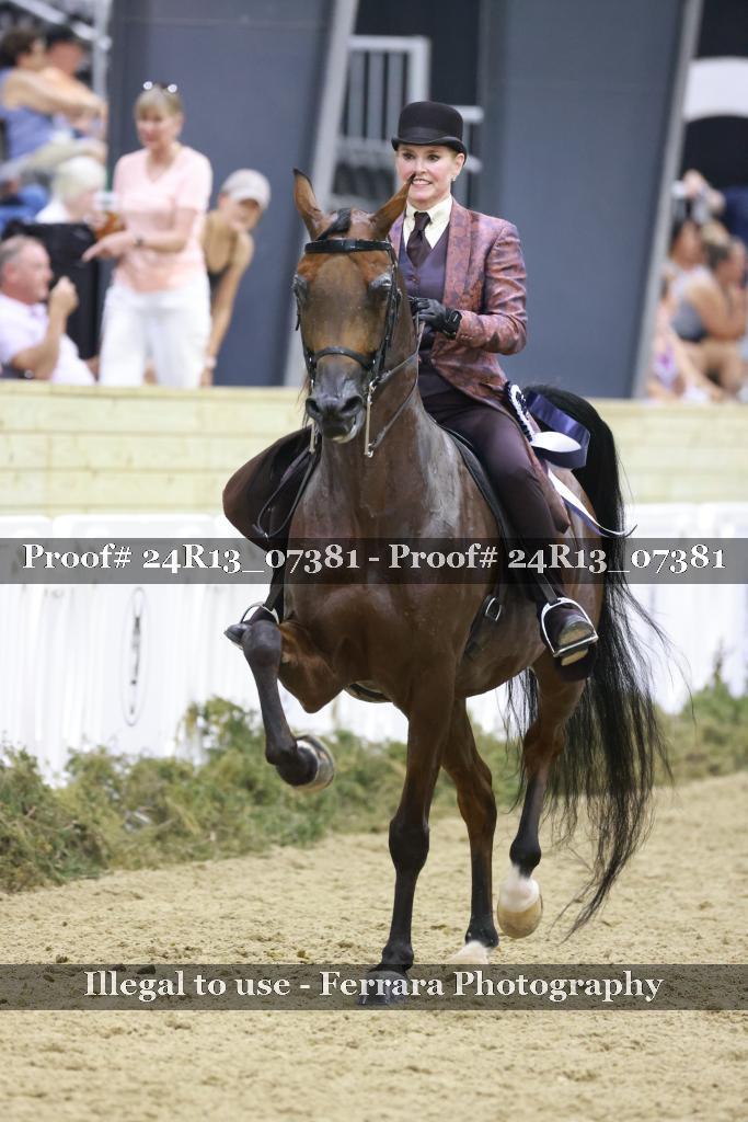 Proof 24R13_07381