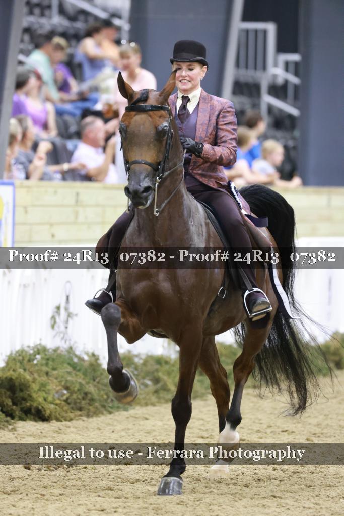 Proof 24R13_07382