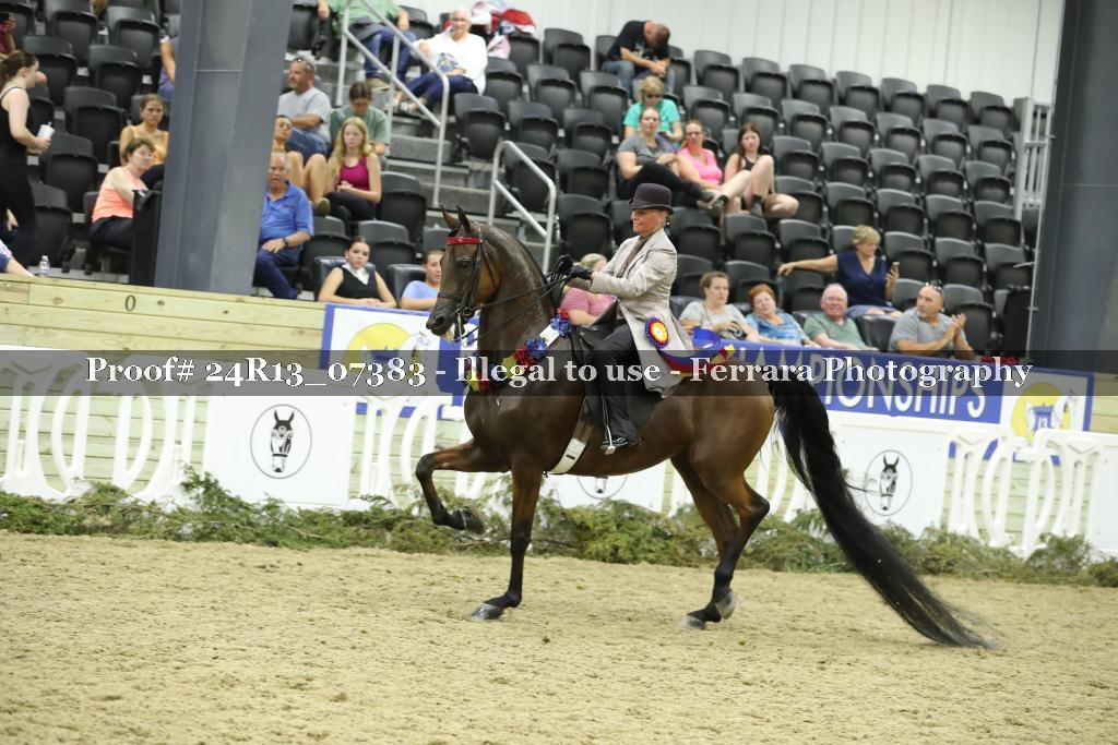 Proof 24R13_07383